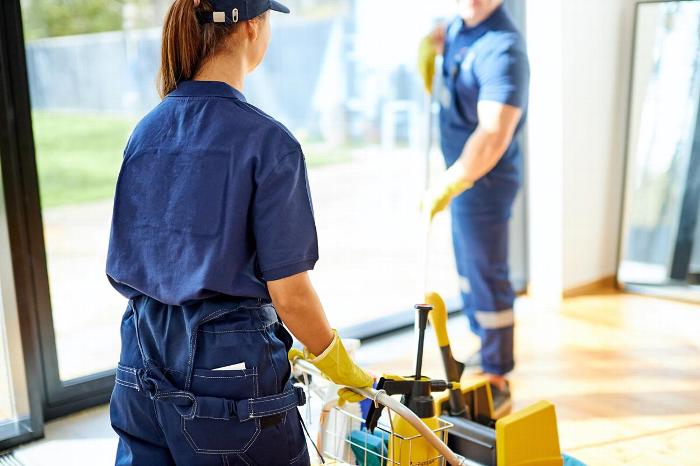 Two cleaners in a home